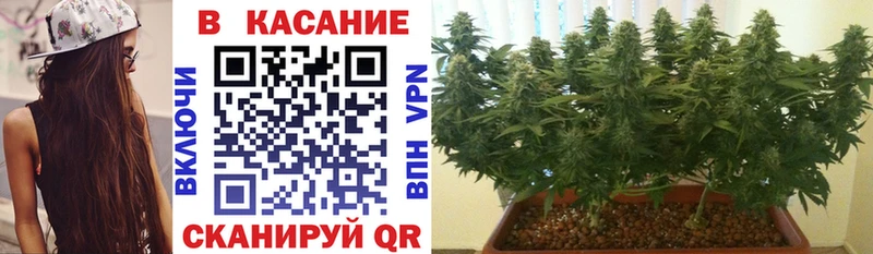 Наркота Кирс гидра зеркало Cocaine Меф А ПВП Канабис Гашиш АМФЕТАМИН