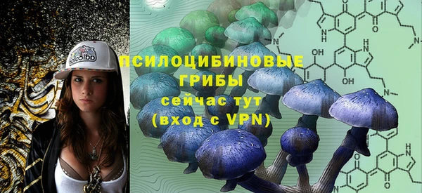 соль курить ск Алзамай