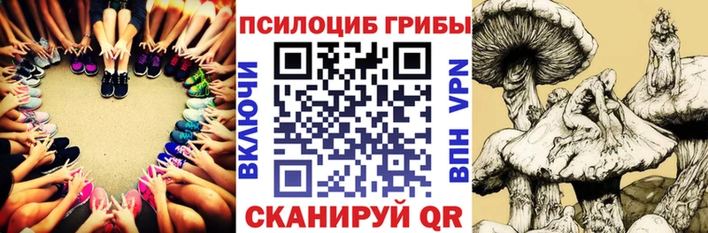 наркотики  Кирс  Галлюциногенные грибы Cubensis 